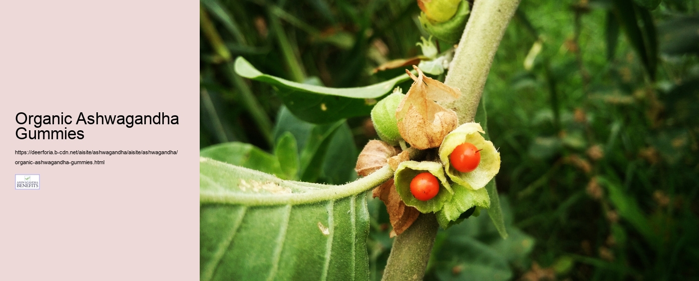 Organic Ashwagandha Gummies