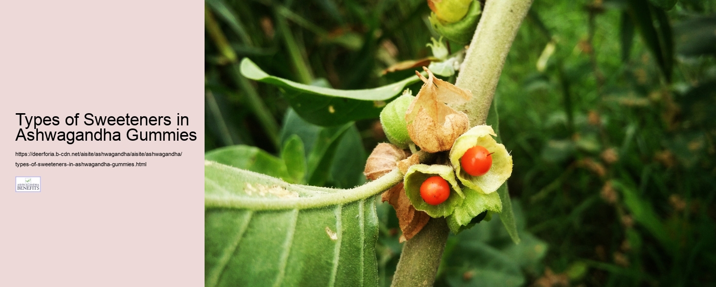 Types of Sweeteners in Ashwagandha Gummies