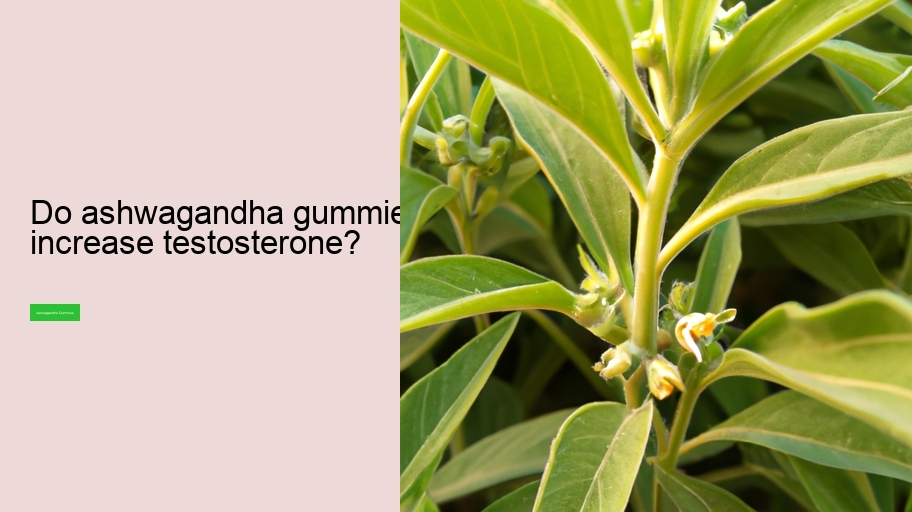 Do ashwagandha gummies increase testosterone?