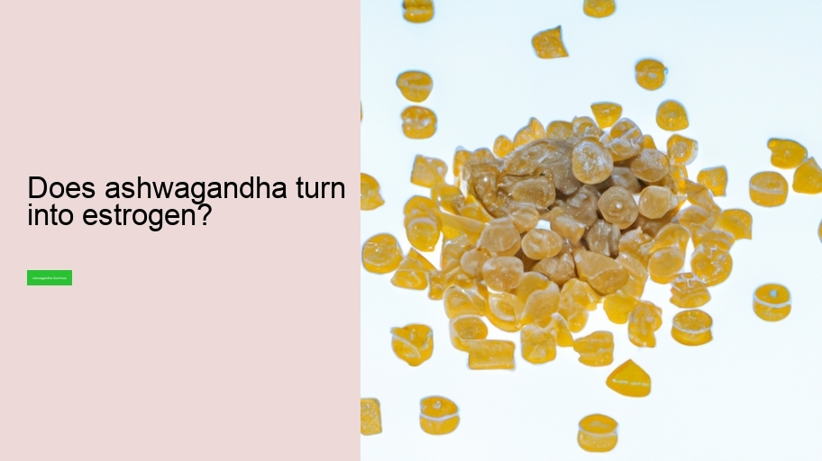 Does ashwagandha turn into estrogen?
