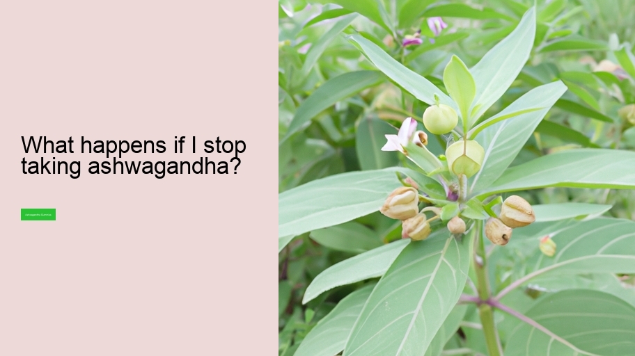 What happens if I stop taking ashwagandha?