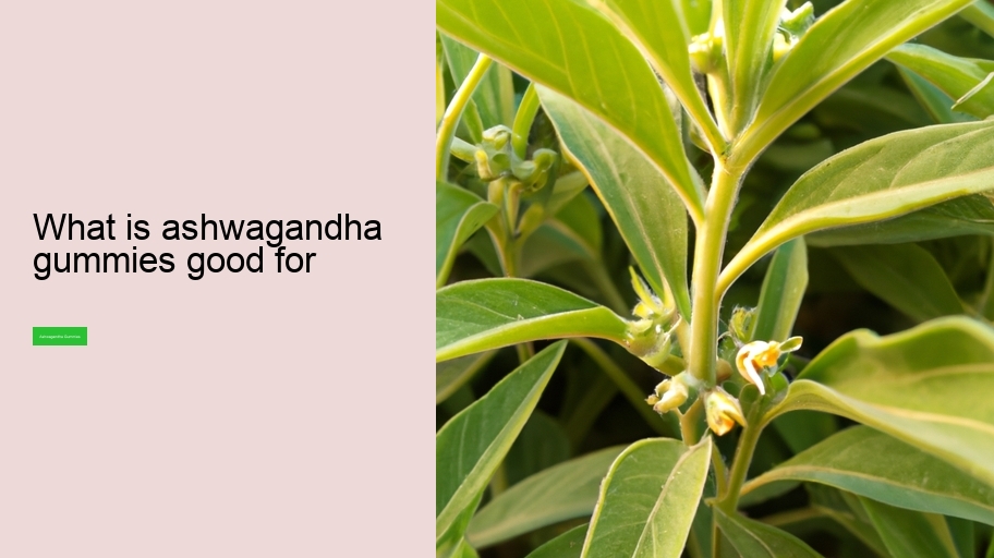 what is ashwagandha gummies good for