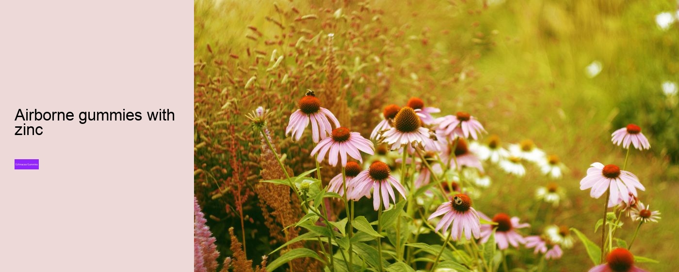 can i get echinacea in gummies