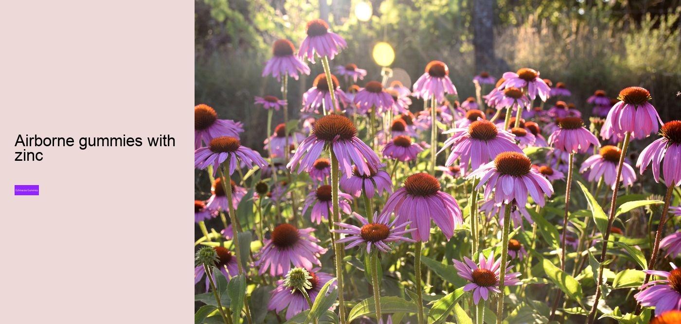 children's echinacea gummies