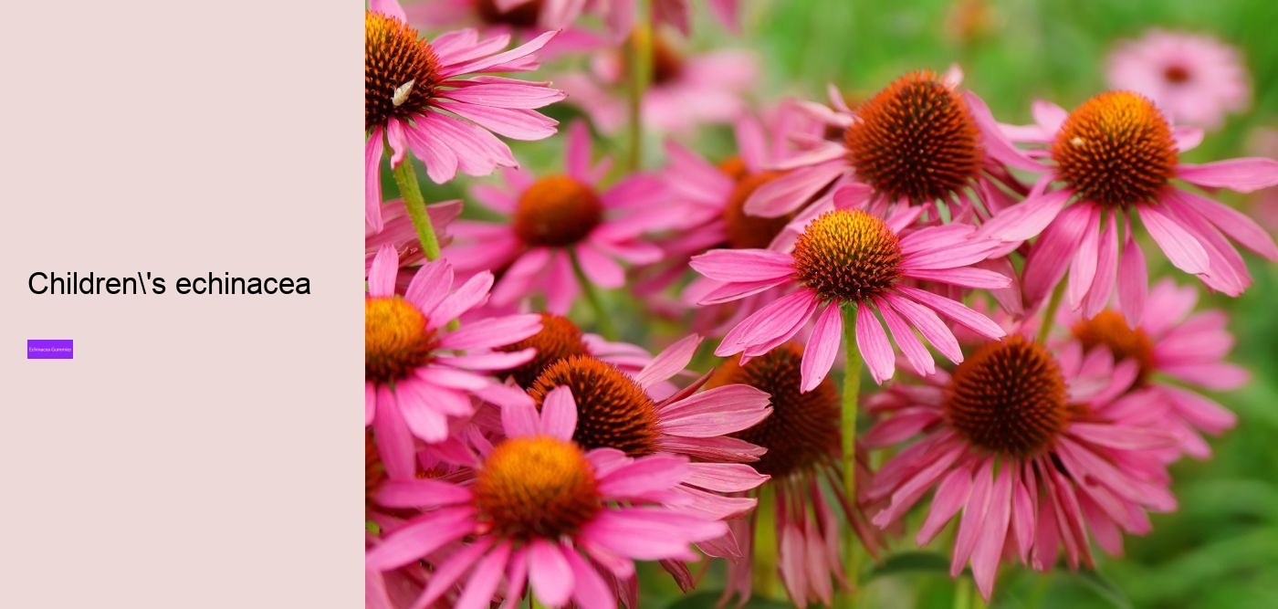 Does echinacea make you sleepy?