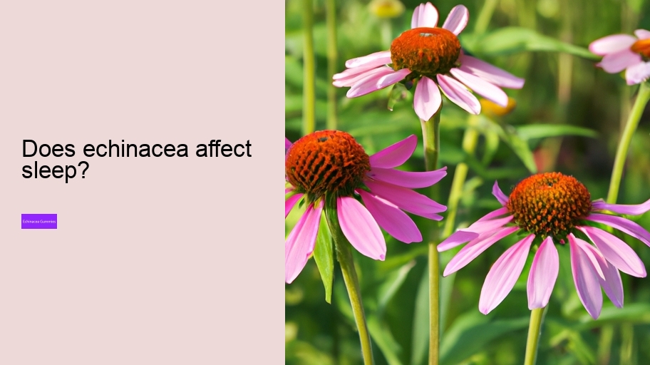 Does echinacea affect sleep?