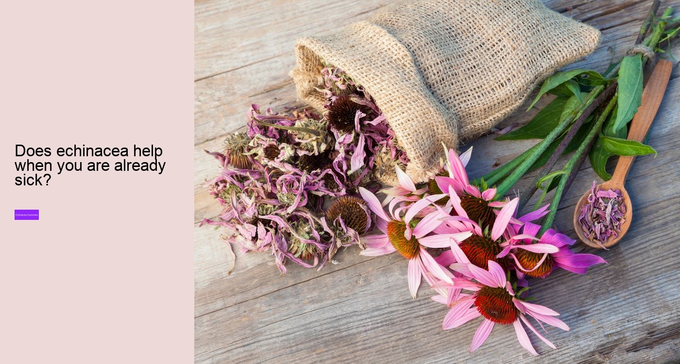 What does echinacea do for hormones?