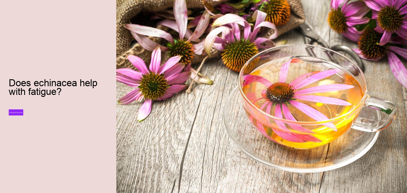 Is echinacea good for your gut?