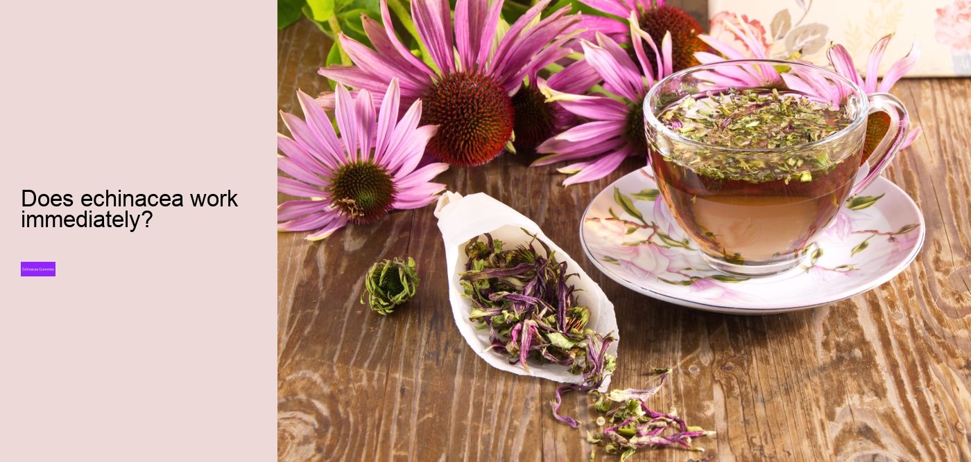 Who should not take echinacea?