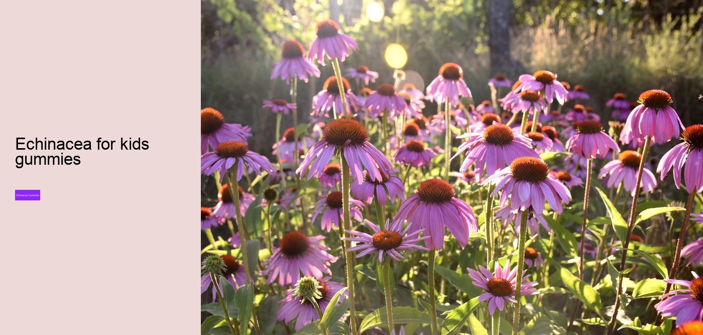 Does echinacea cause blood clots?