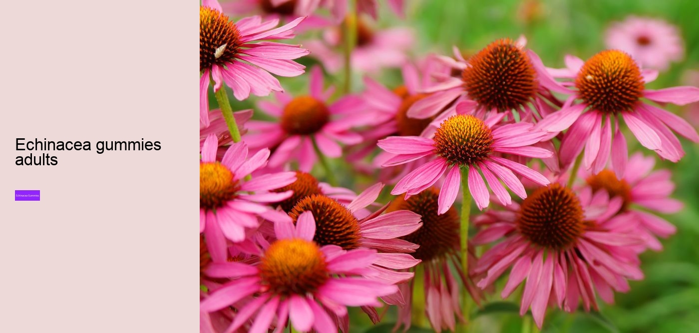 elderberry gummies with zinc and echinacea