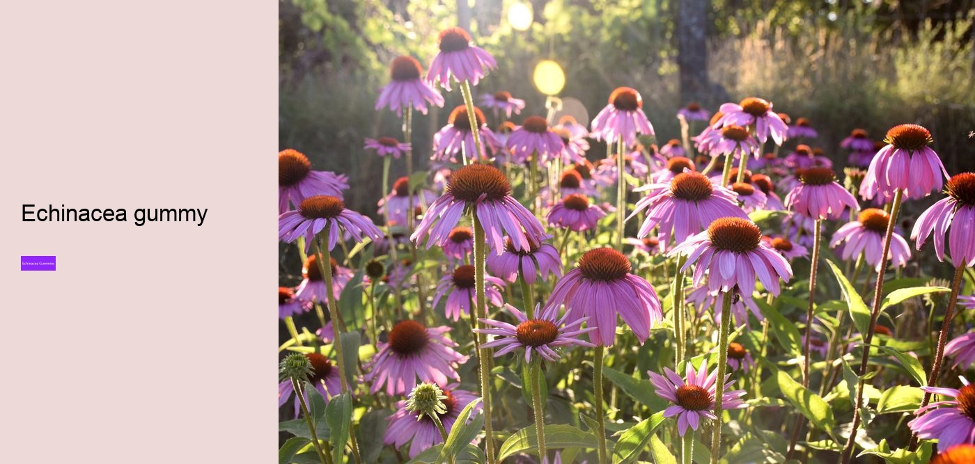 Will echinacea keep you awake?