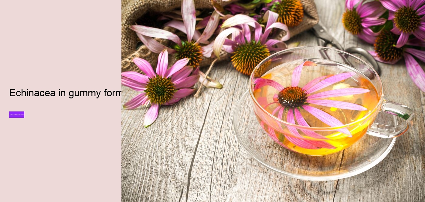 echinacea zinc and vitamin c