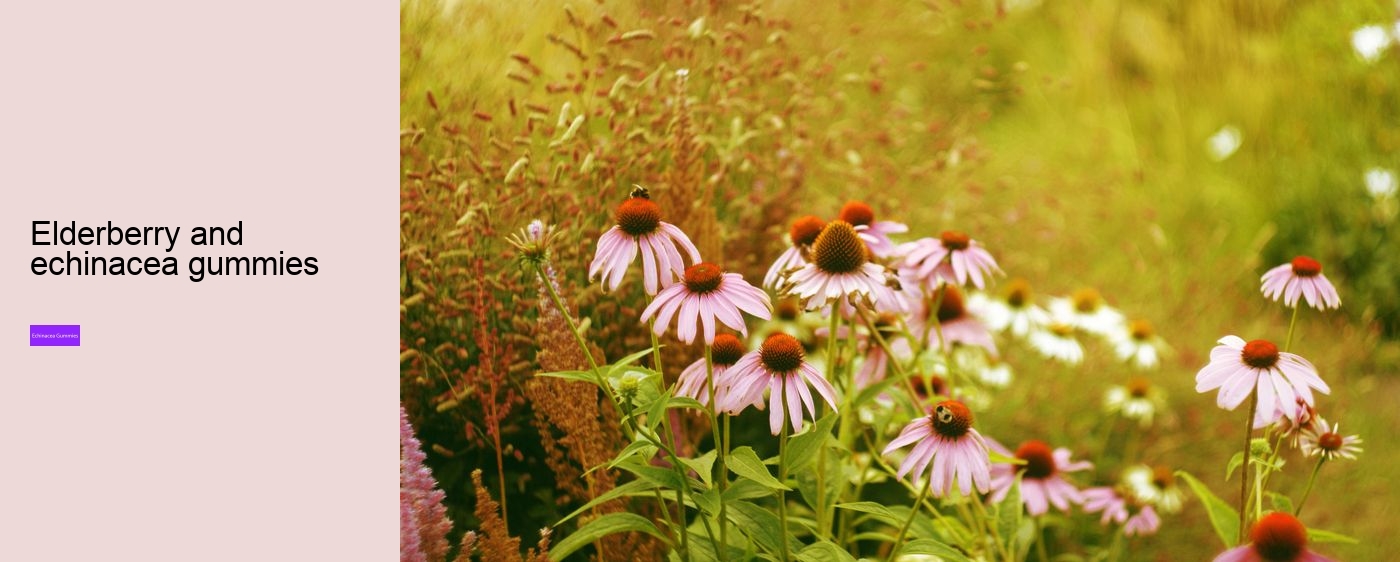 What are the side effects of echinacea?