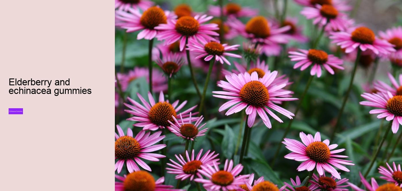 Does echinacea help when you are already sick?