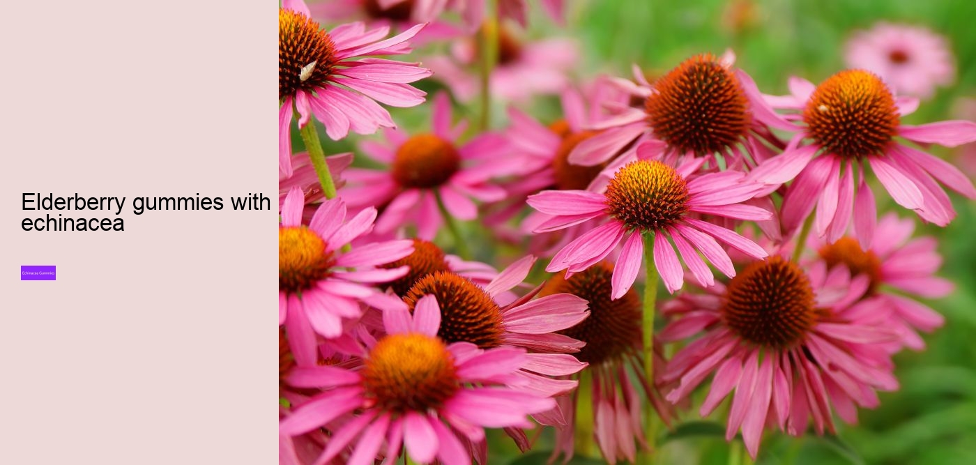 Is echinacea a natural antibiotic?