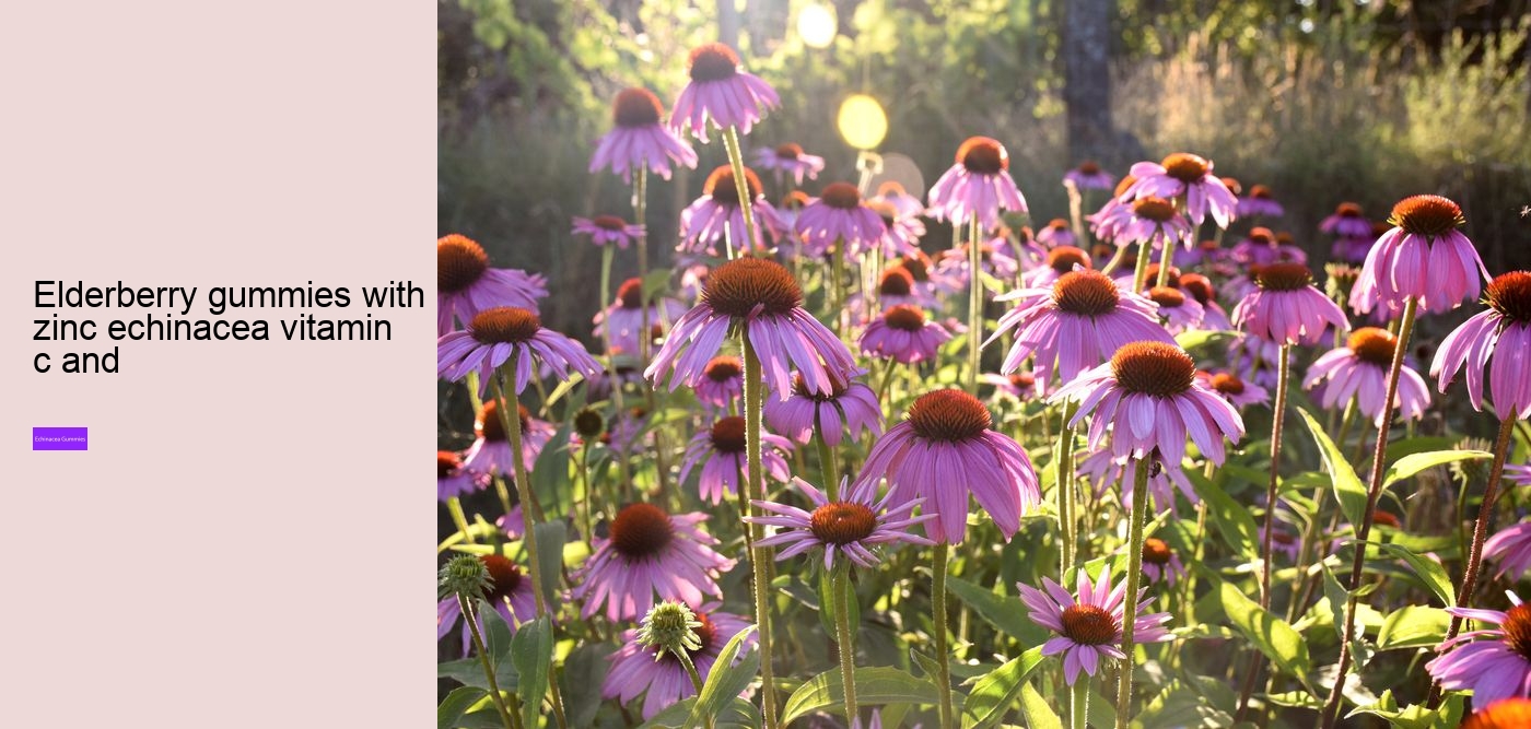 What does vitamin C echinacea do for you?