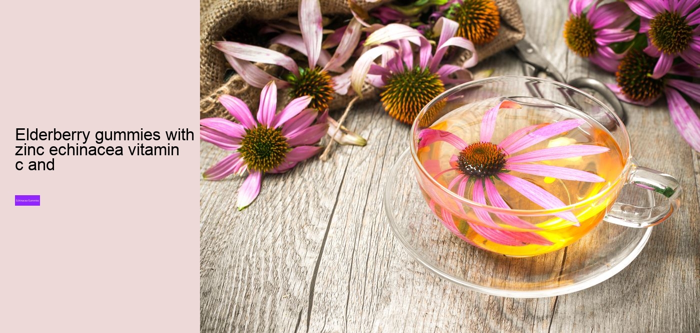 Does echinacea cleanse your body?