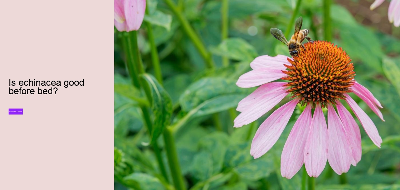 What are the benefits of propolis and echinacea gummies?