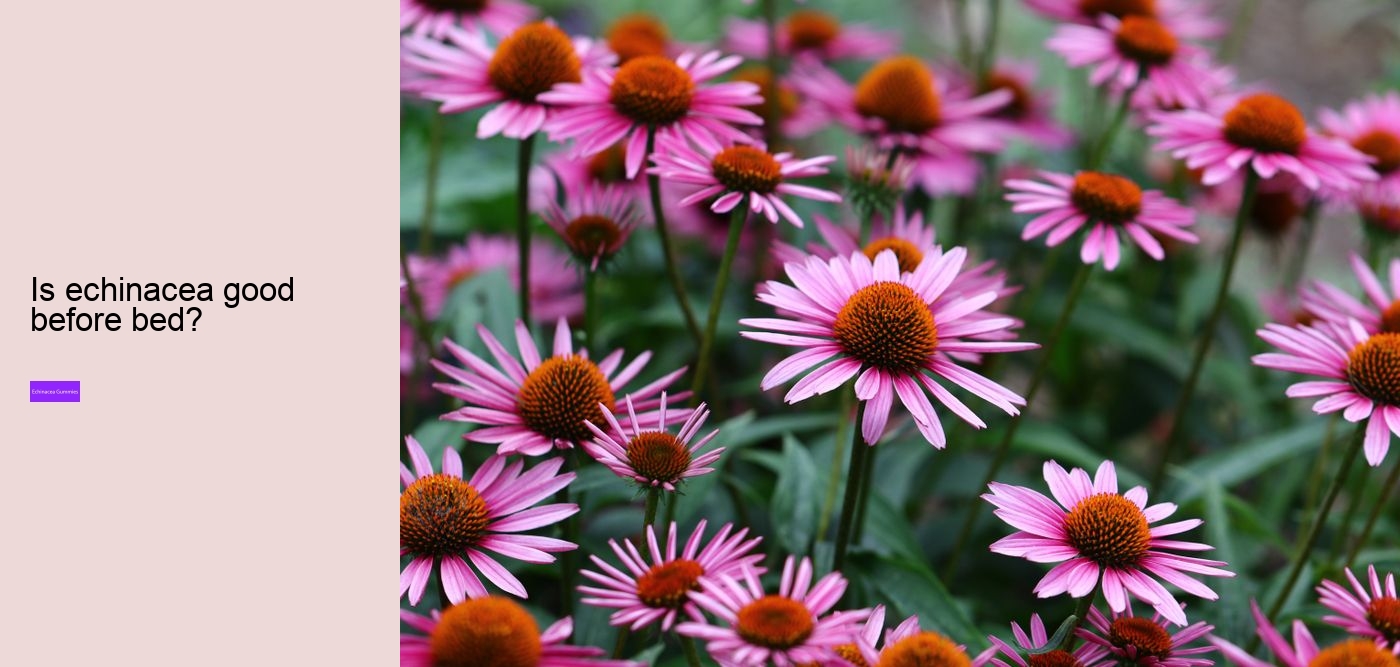 Is echinacea a natural antibiotic?