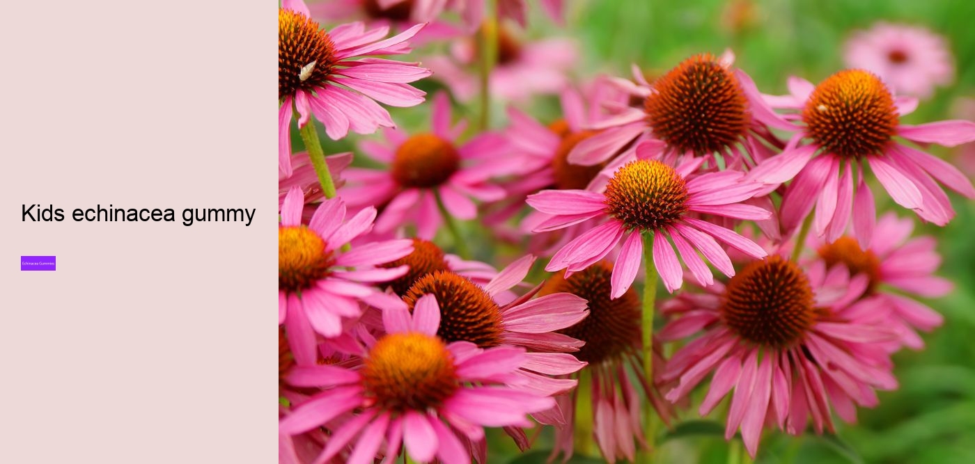 Does echinacea increase histamine?