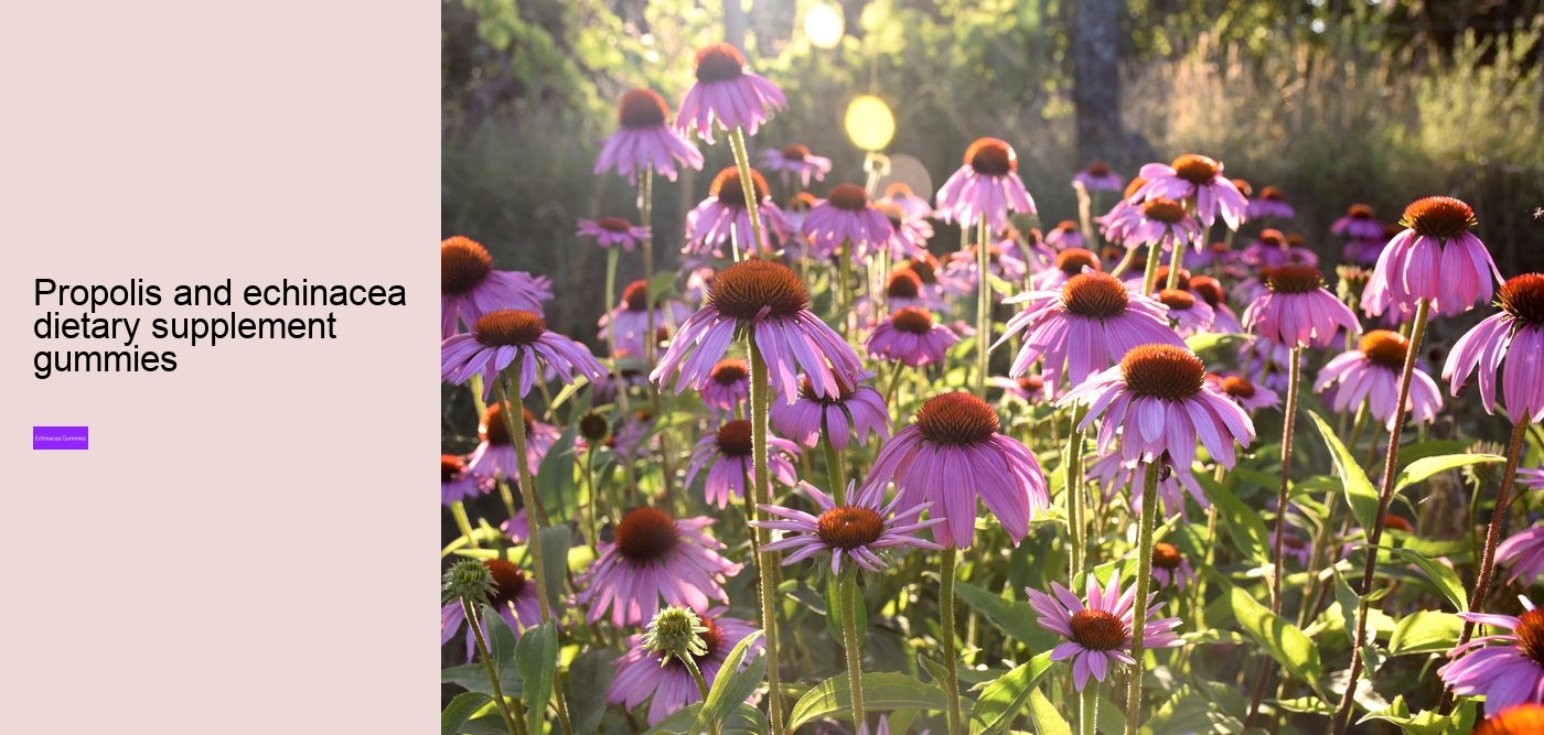 What are the pros and cons of echinacea?