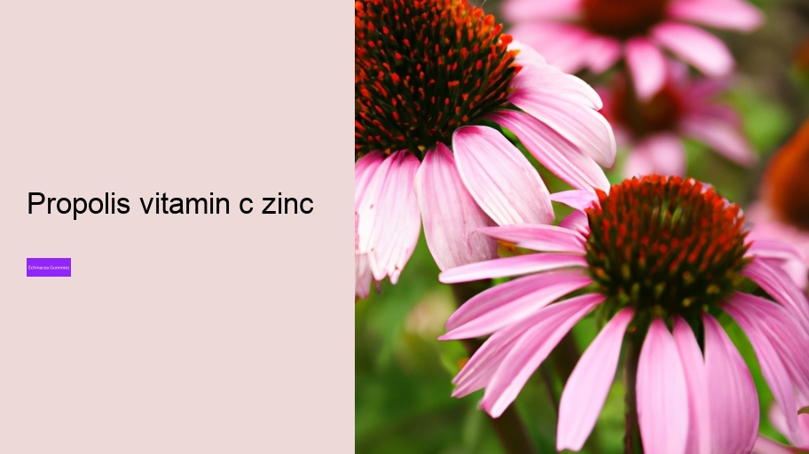 propolis vitamin c zinc