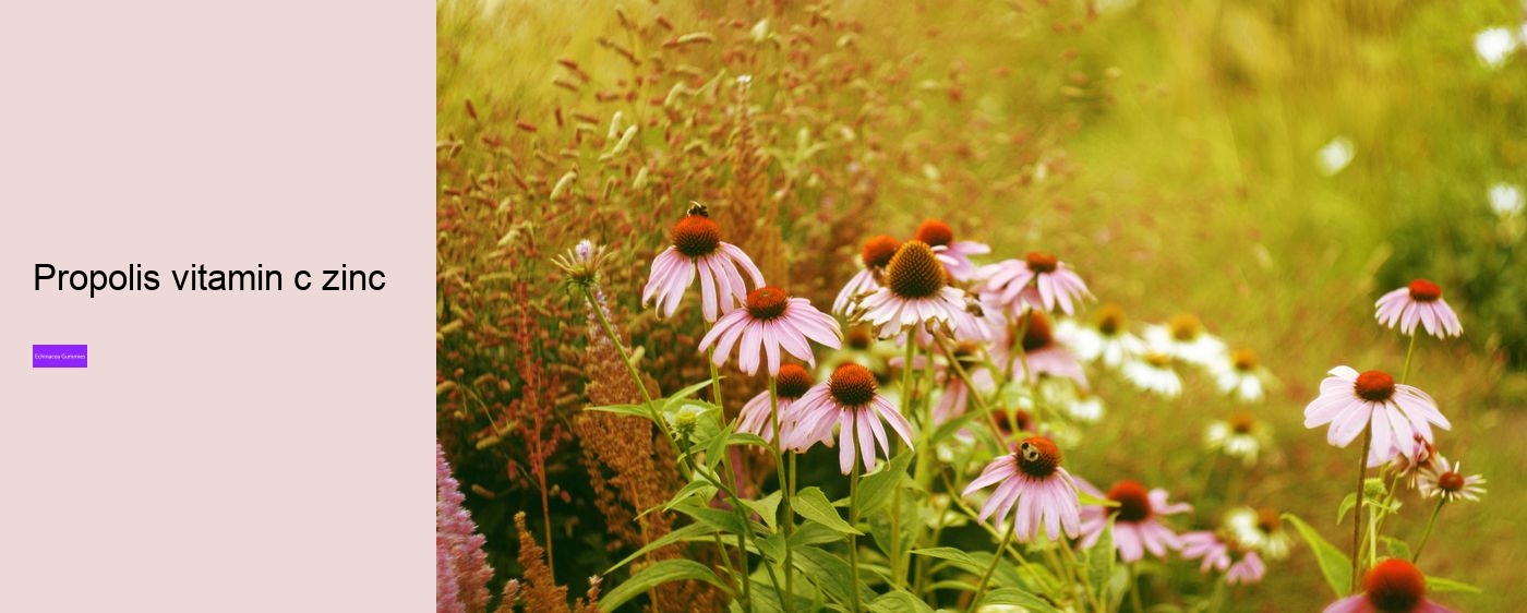 propolis and echinacea dietary supplement gummies