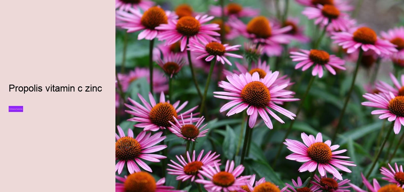 Does echinacea cause anxiety?
