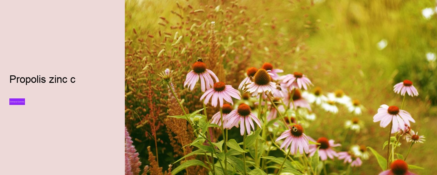 zinc echinacea