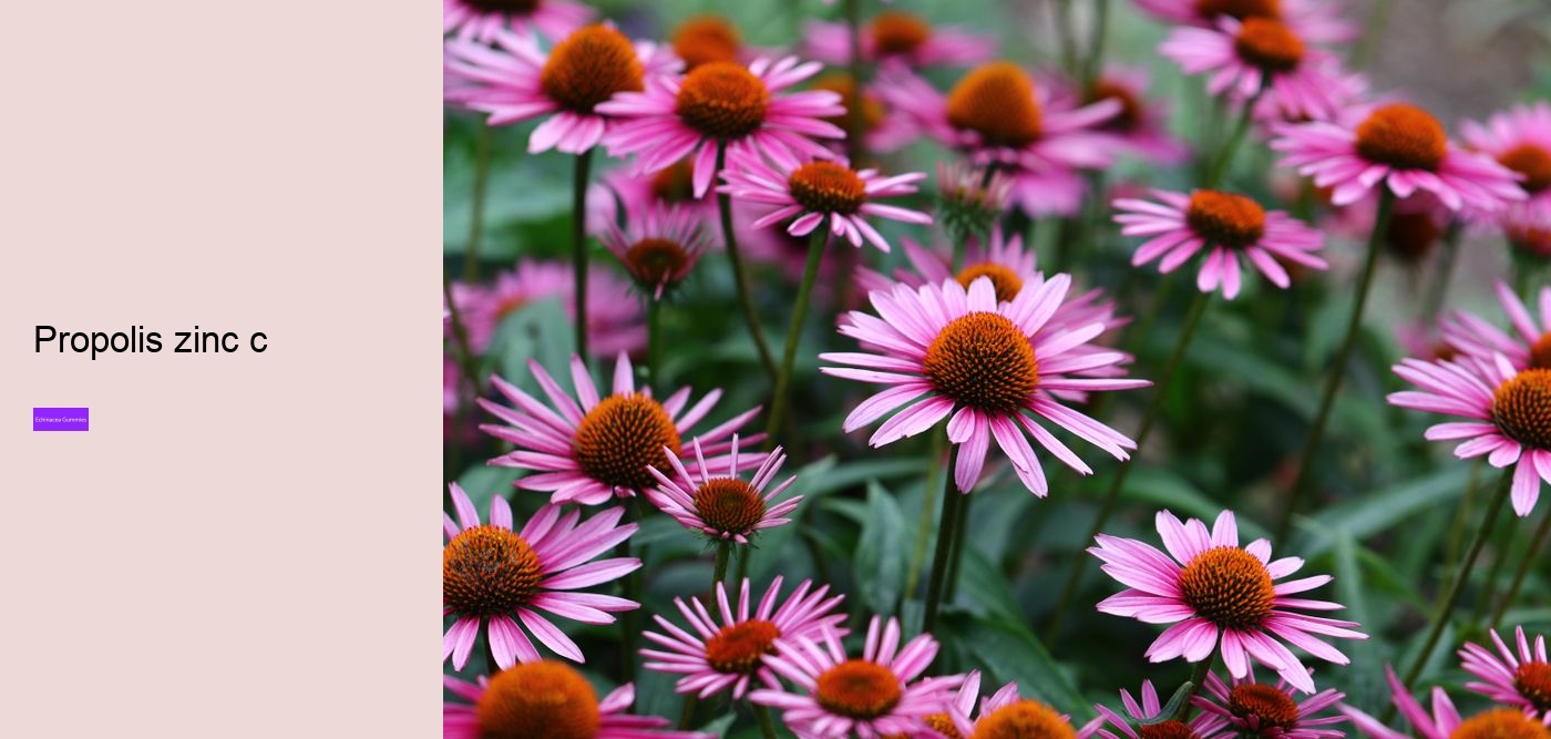 echinacea and zinc