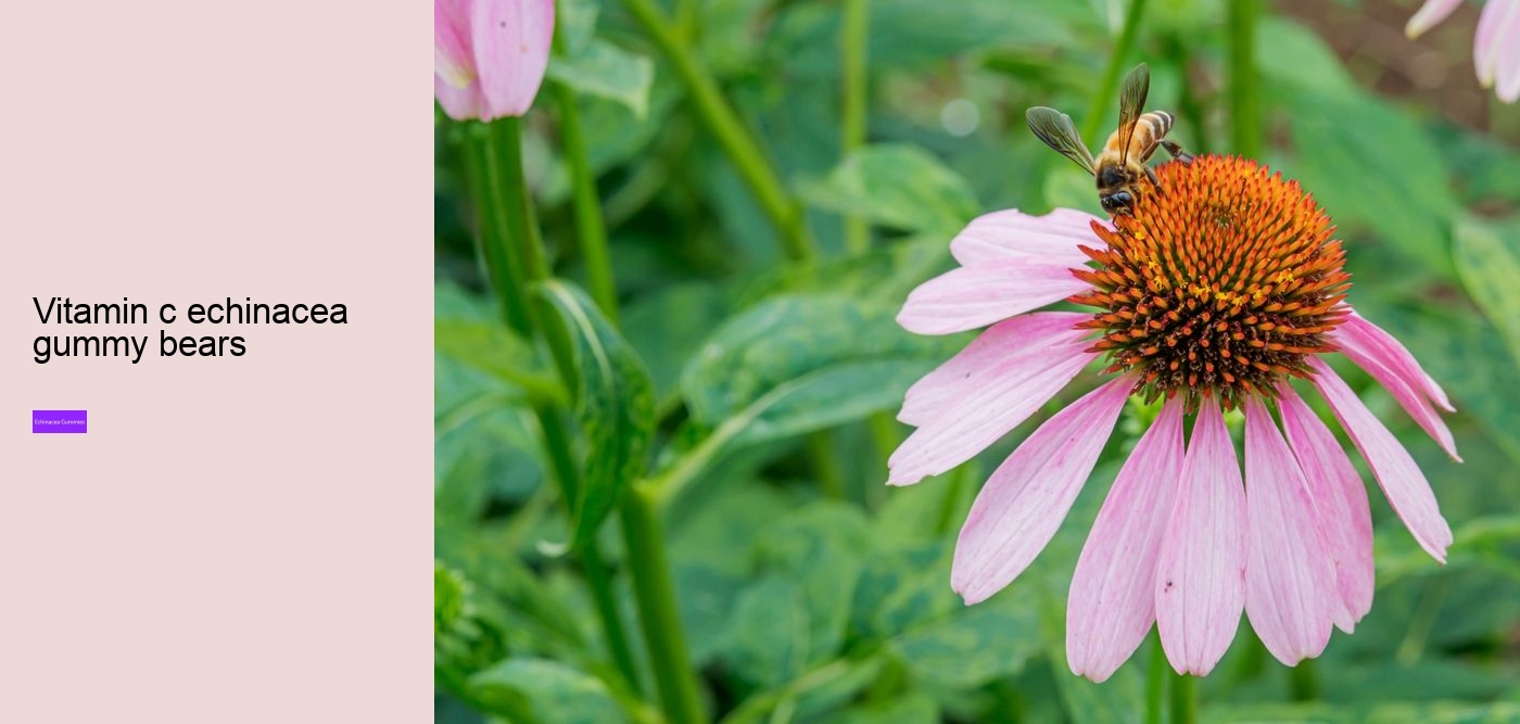 Is echinacea an anti-inflammatory?