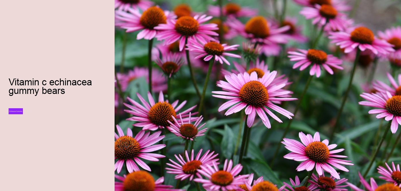 echinacea gummies for toddlers