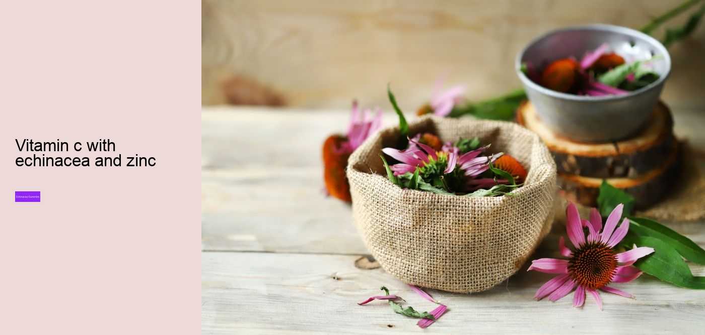 Does echinacea help when you are already sick?