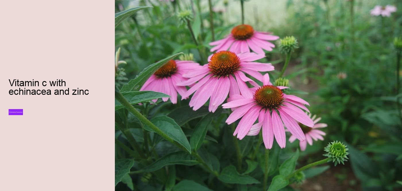 Is echinacea hard on the liver?