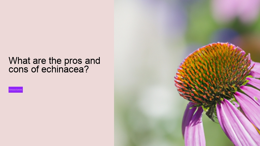 What are the pros and cons of echinacea?