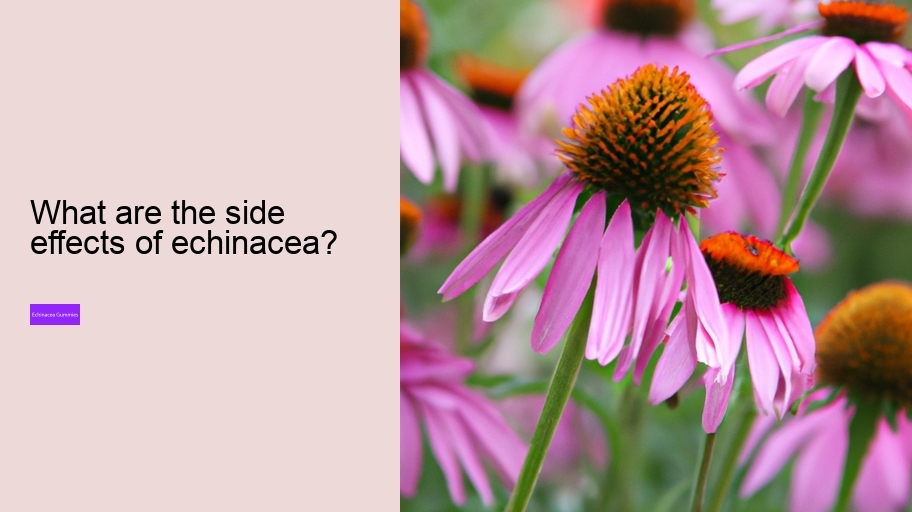 What are the side effects of echinacea?