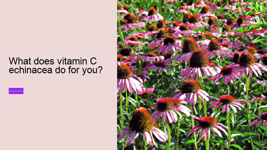 What does vitamin C echinacea do for you?