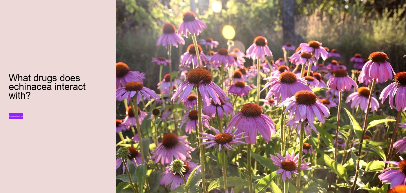 Can echinacea interfere with sleep?