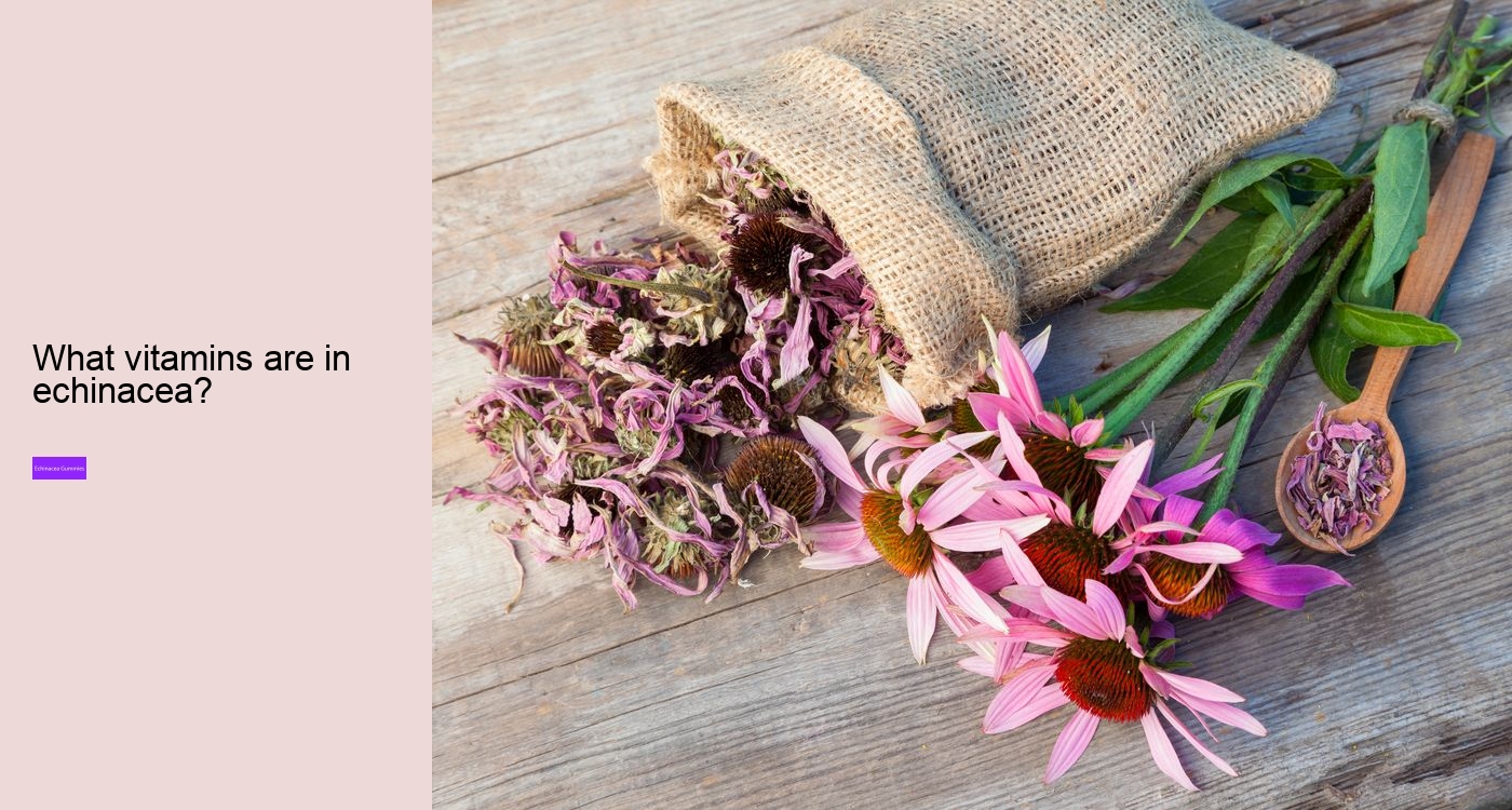 What does vitamin C echinacea do for you?