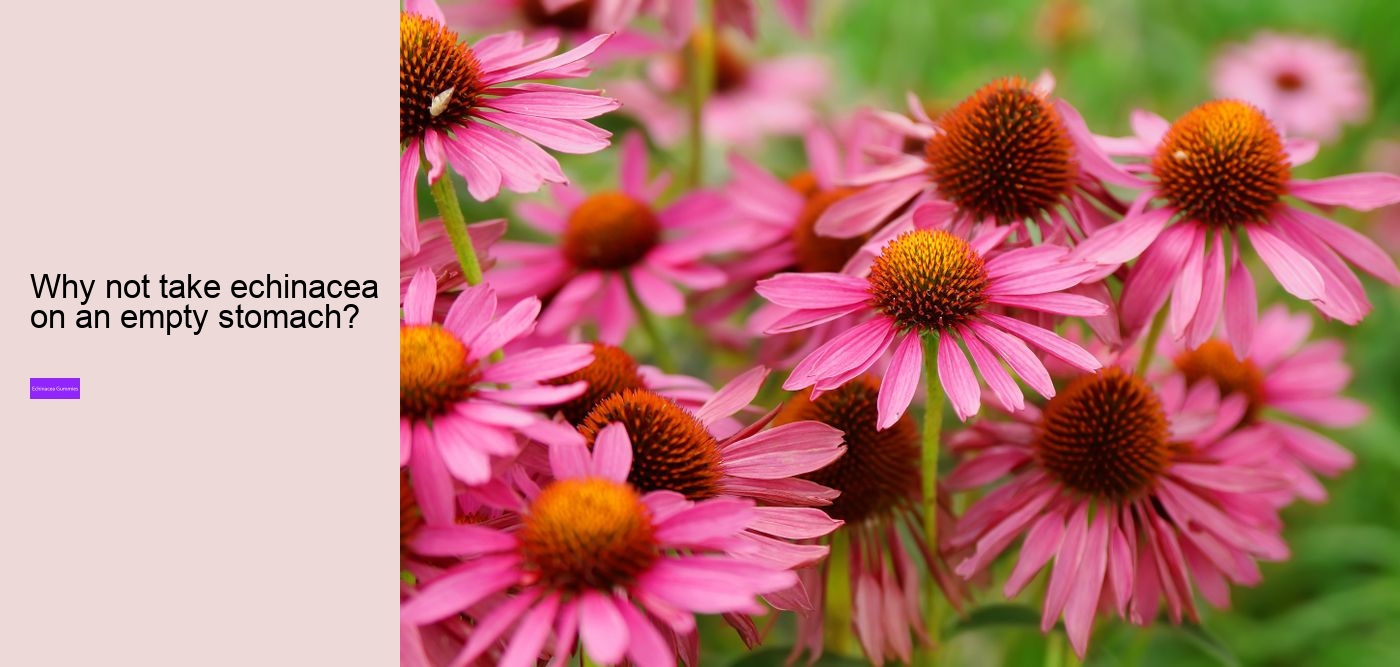 Why is echinacea so expensive?