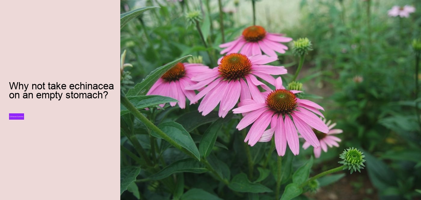 Does echinacea cause anxiety?