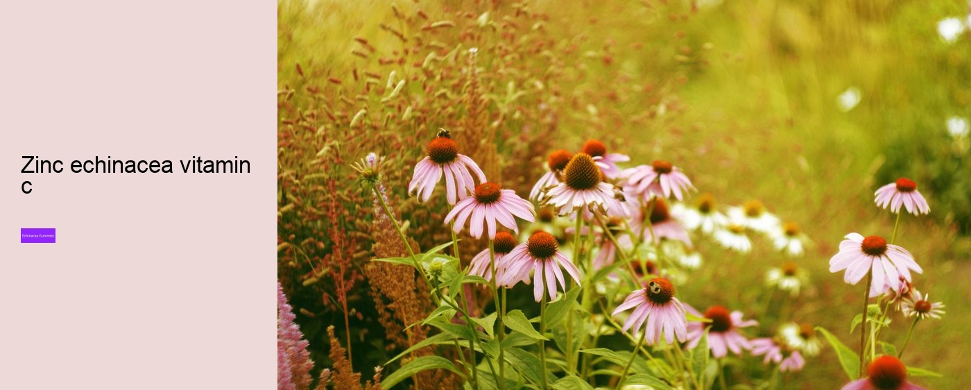 gummy cuties echinacea