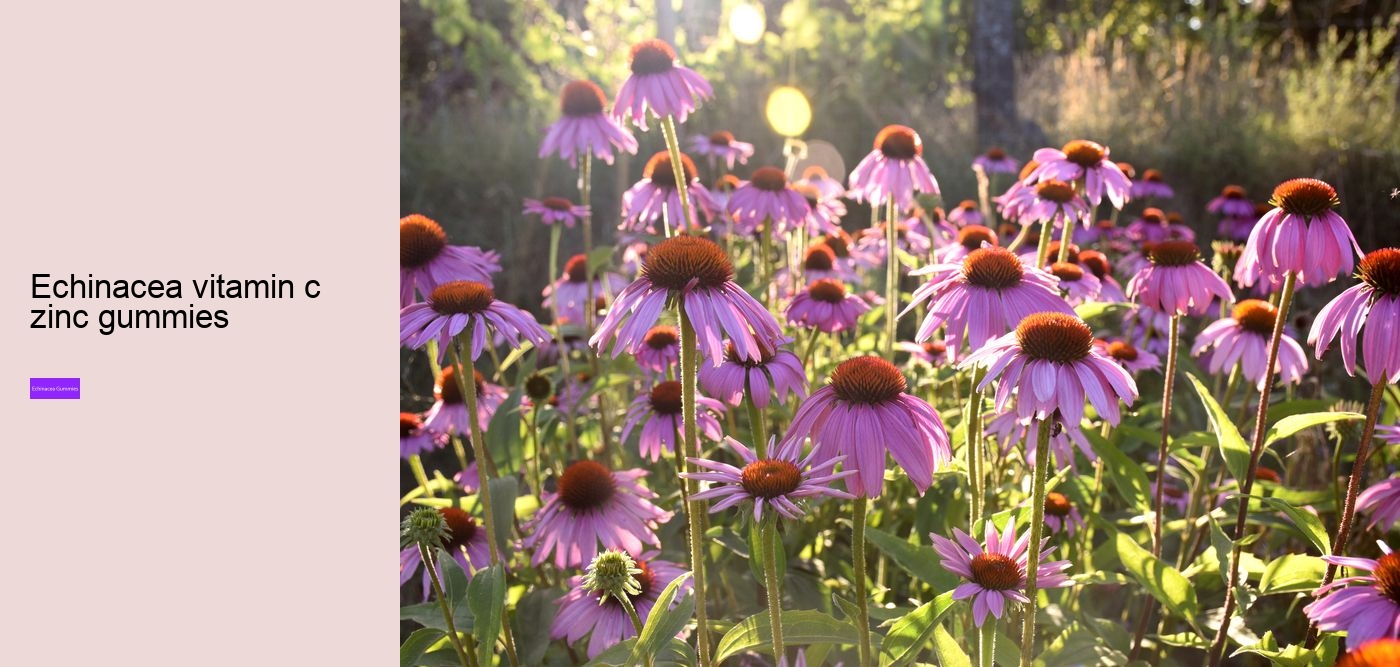 Can you take echinacea and vitamin C at the same time?