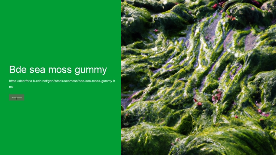 bde sea moss gummy