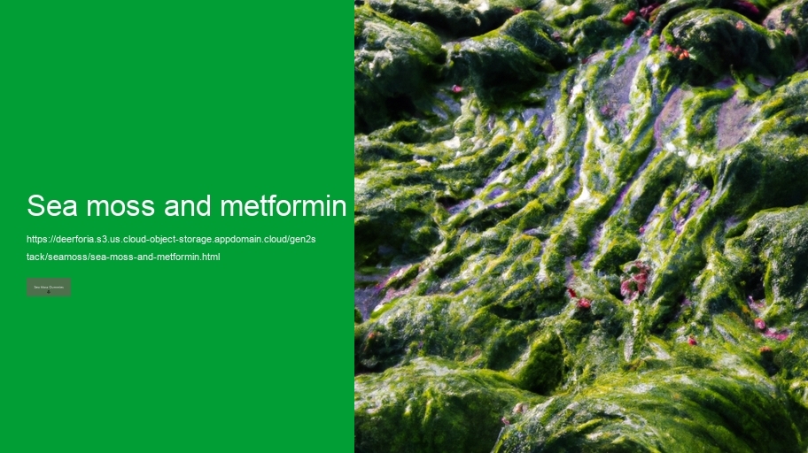 sea moss and metformin