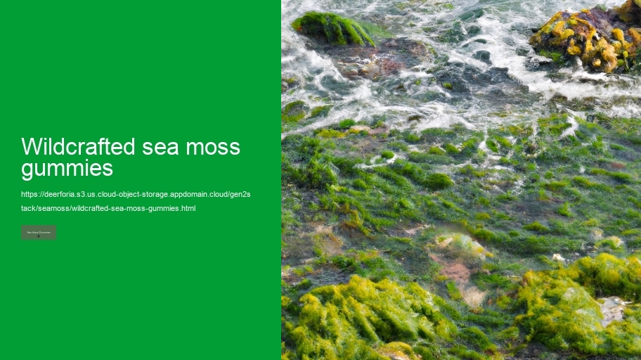 wildcrafted sea moss gummies